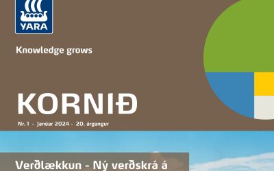 Kornið – Uppfærð 2024 verðskrá